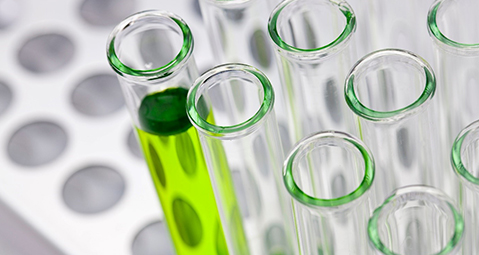 New Marijuana Laws Impact Workplace Drug Policies